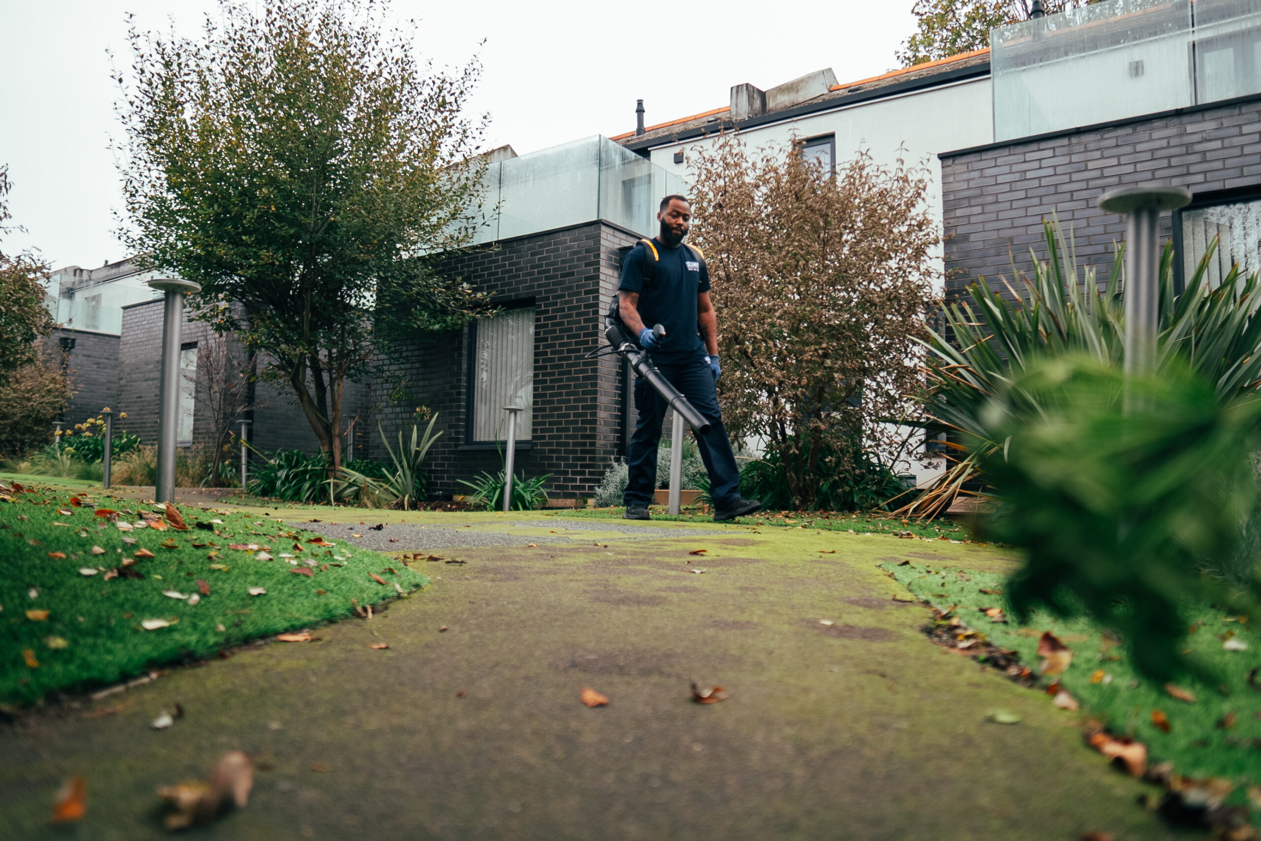 Professional domestic cleaning services and garden maintenance for homes in London.